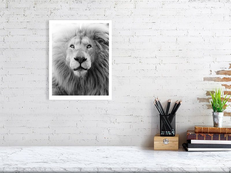 SHALOM – Simon Needham Photography